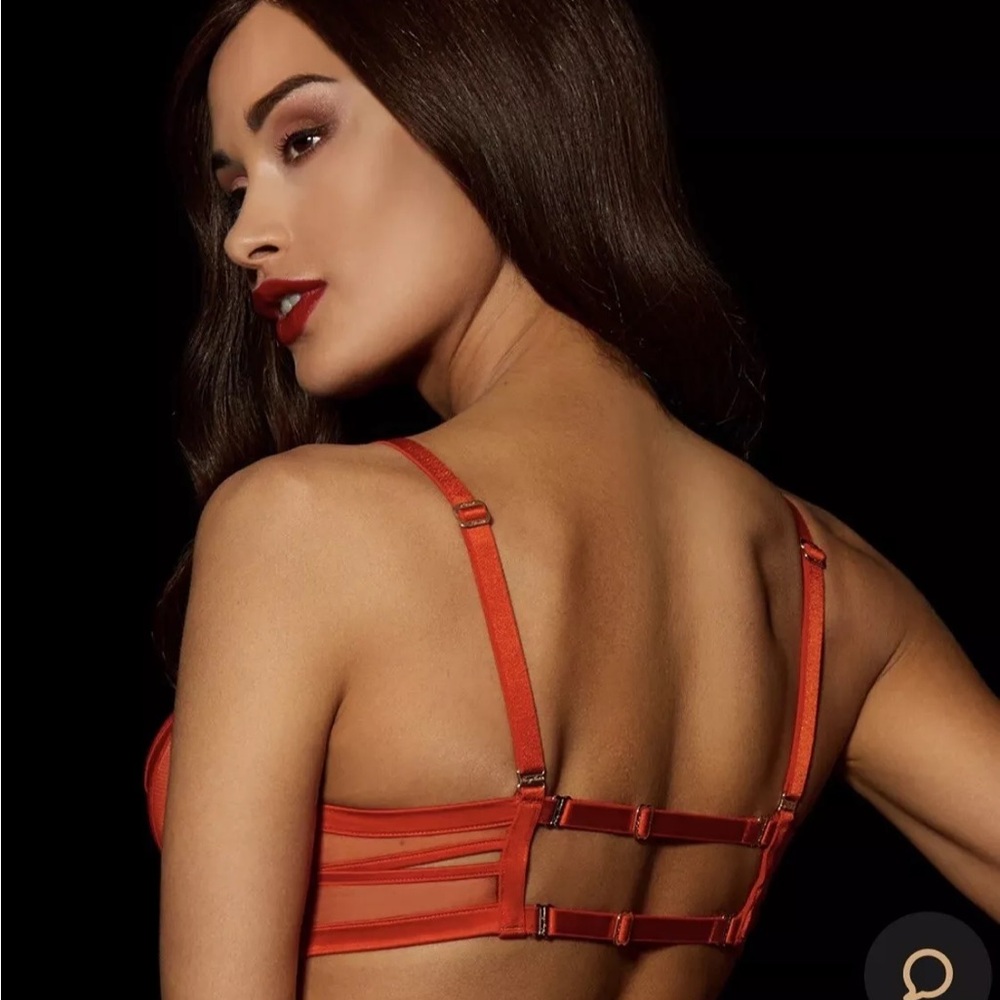 Honey Birdette ERICA DOM RED Bra Size 40 F Sexy GOLD ZIP NWT $120 satin new - Picture 4 of 8